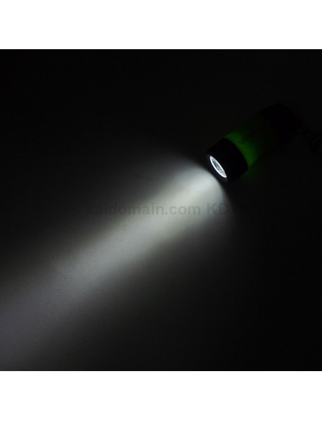 Mini Torch 25 Lumens USB Rechargeable LED Keychain