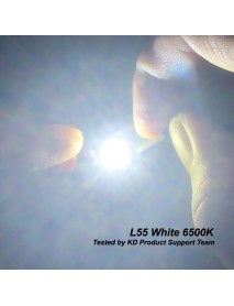 L55 3V 20W 5A 2000 Lumens 6500K SMD 5050 LED