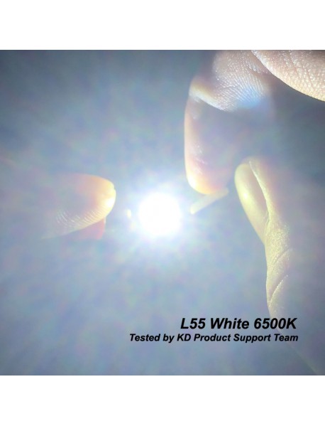 L55 3V 20W 5A 2000 Lumens 6500K SMD 5050 LED