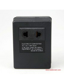 AC110V-220V Electricity Converter