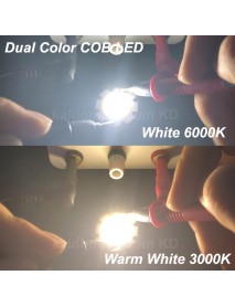 COB 28mm (D) Dual Color White 6000K and Warm White 3000K COB LED