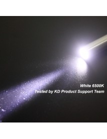 105mm (L) 200 Lumens 1-M Stainless Steel AAA Flashlight