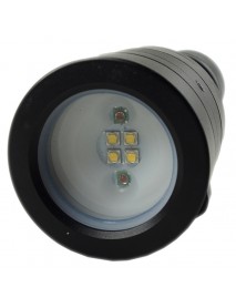4 x Cree XP-G2 + 2 x Red Cree XP-E LED 4-Mode 1000 Lumens Diving Flashlight (1 x 26650)